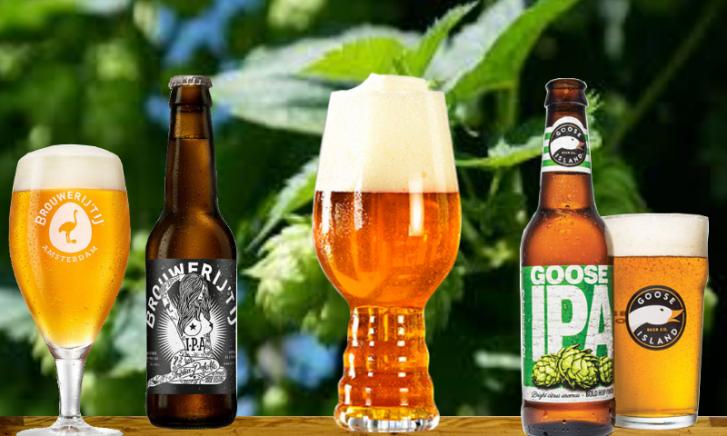 World IPA Day